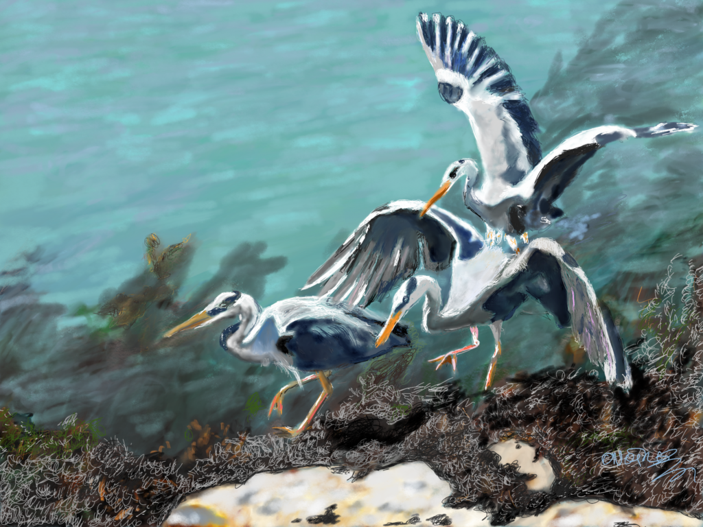 Art, Cork-Artist, Irish-Art, Cork Scene, Crosshaven